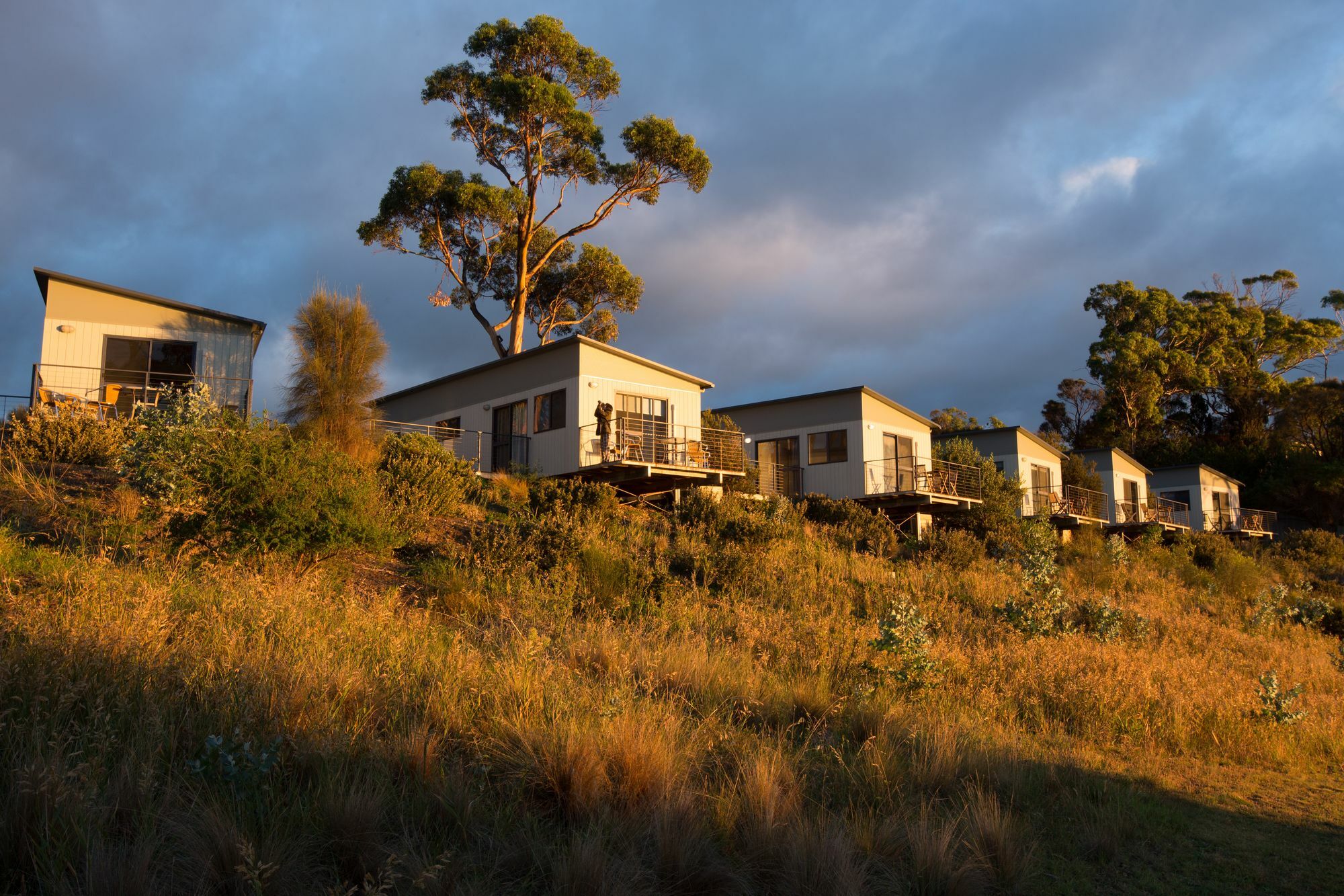 Swansea Beach Chalets Экстерьер фото